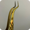 Dorado