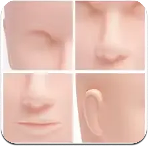 Cabeza de Maniquí de Práctica - Imagen 3